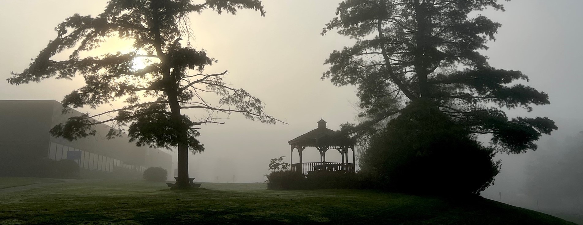 weather, fog, sunset