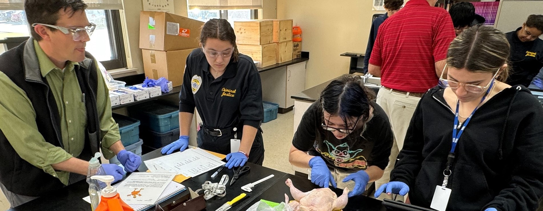 criminal justice, autopsy, chicken